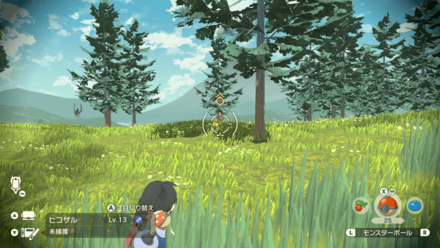 ヒコザルの出現場所