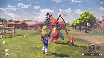 大きさの違いが如実にわかる