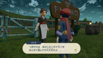 ポケモンまとめて逃がせる