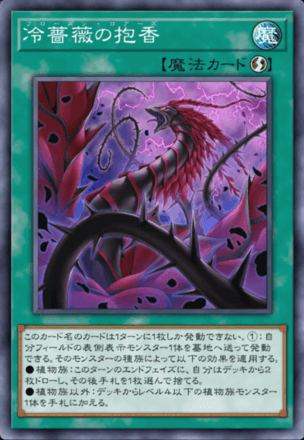 冷薔薇の抱香画像