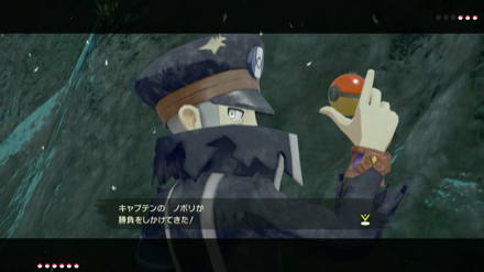 ノボリ戦は飛行タイプを用意しておくのがおすすめ