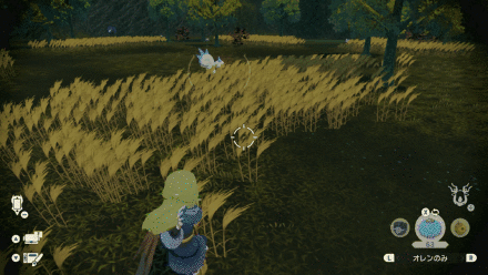 オヤブンパチリス