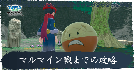 マルマイン戦までの攻略