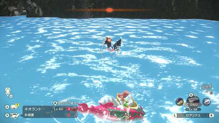 オヤブンネオラントの出現場所