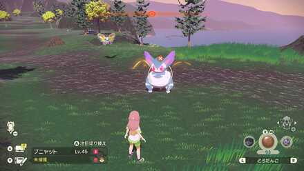 オヤブンブニャットの出現場所