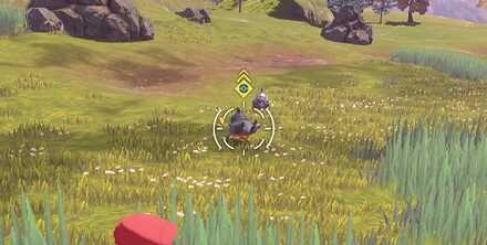 餌食べてると捕まえやすい