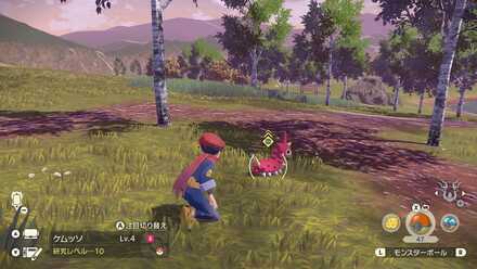 後ろ回り込みやすい