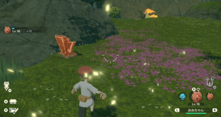 片方は鉱石やきのみを取って貰った