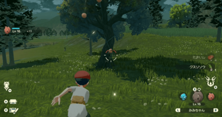 鉱物やきのみをとってもらう