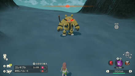 オヤブンエレキブルの出現場所