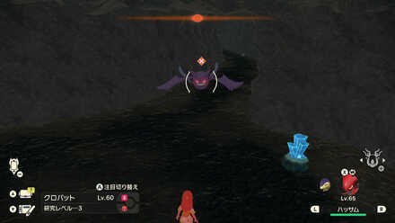 オヤブンクロバットの出現場所