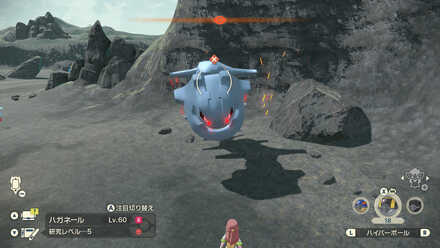 オヤブンハガネールの出現場所