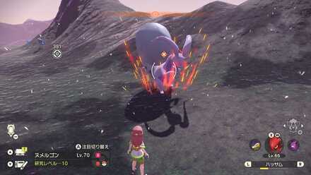 オヤブンヒスイヌメルゴンの出現場所