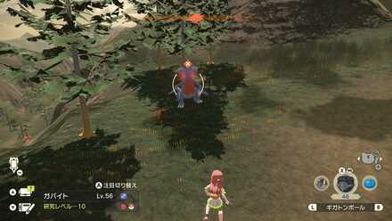 オヤブンガバイトの出現場所