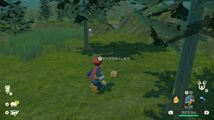 落とし物を回収する