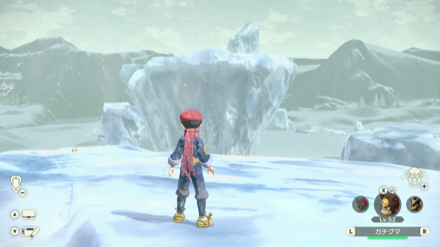 周辺の氷塊に乗る