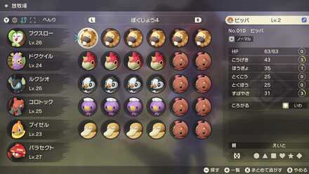 ボックス内整理