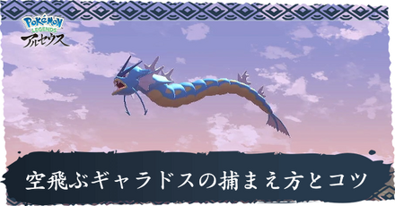 空飛ぶギャラドスの捕まえ方とコツ