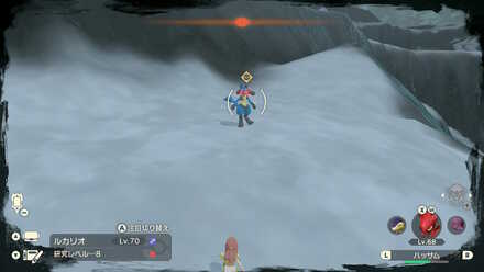 オヤブンルカリオの出現場所