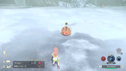 オヤブンウリムーの出現場所