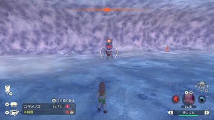 オヤブンユキメノコの出現場所