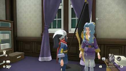 サザンカの画像