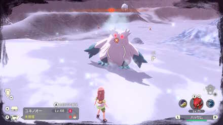 オヤブンユキノオーの出現場所