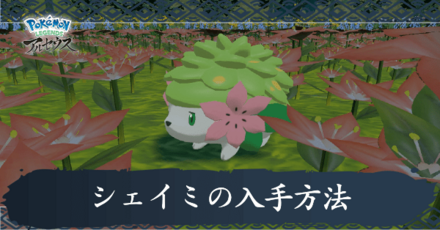 ありがとうを伝えたい