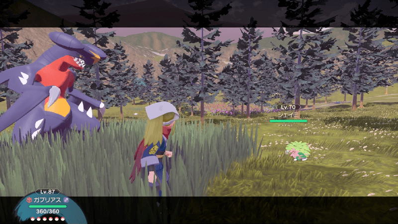 ムービーが流れた後に捕獲する