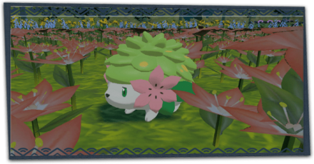 シェイミの入手方法