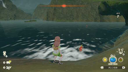 コイキングの出現場所(実際の様子)