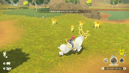 1種類のポケモンが小範囲に多数出現すること