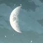 下弦の月