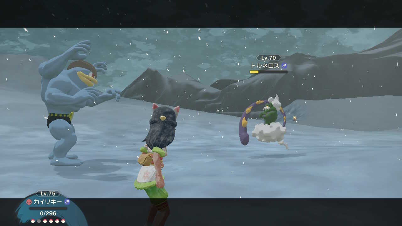 ポケモンでHPを削ってから捕まえる