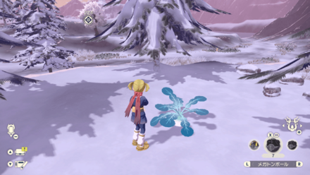 スナハマダイコン