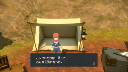 ポケモンの回復は自宅かキャンプで行える