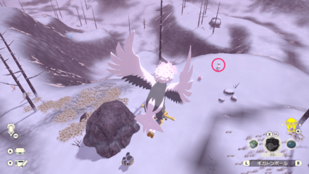 二匹目のアローラロコンの場所