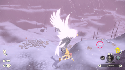 四匹目のロコンの場所