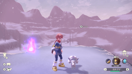 一匹目のアローラロコンの場所