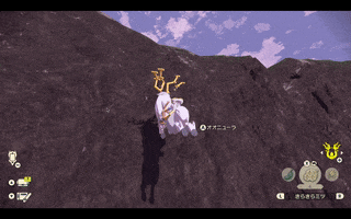 アヤシシのロッククライム