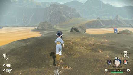 ドレディア戦の場所への行き方