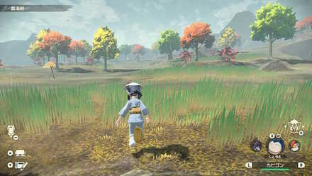 ドレディア戦の場所への行き方