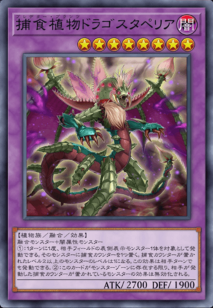 捕食植物ドラゴスタペリア画像