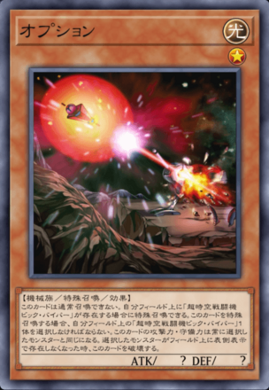 オプション画像