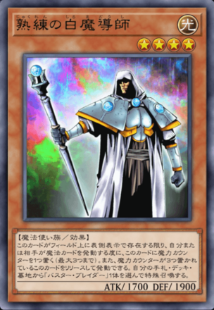 熟練の白魔導師画像