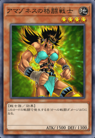 アマゾネスの格闘戦士の画像