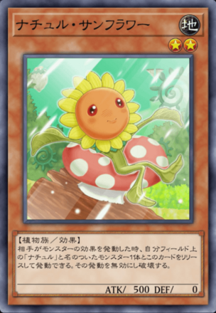 ナチュル・サンフラワーの画像