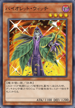 バイオレット・ウィッチの画像