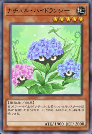 ナチュル・ハイドランジーの画像