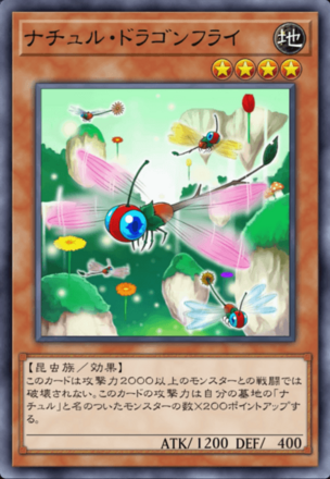 ナチュル・ドラゴンフライの画像